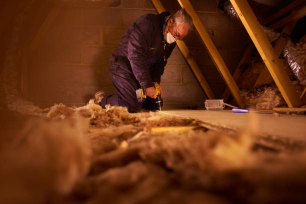 Best Geographic-Specific Insulation Services in Waipahu, HI